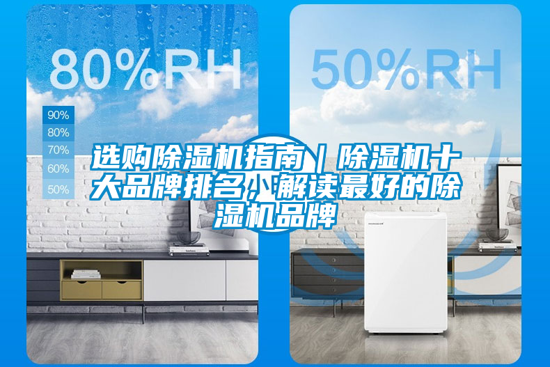選購除濕機(jī)指南｜除濕機(jī)十大品牌排名，解讀最好的除濕機(jī)品牌