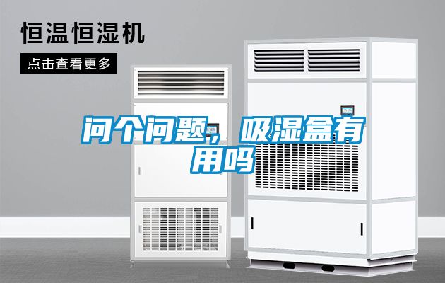 問(wèn)個(gè)問(wèn)題，吸濕盒有用嗎