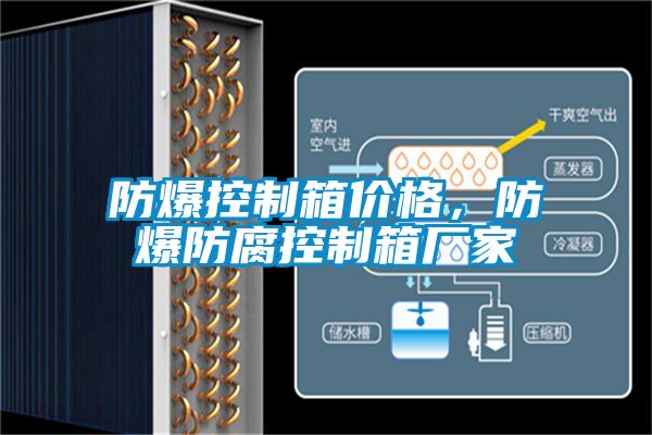 防爆控制箱價格，防爆防腐控制箱廠家