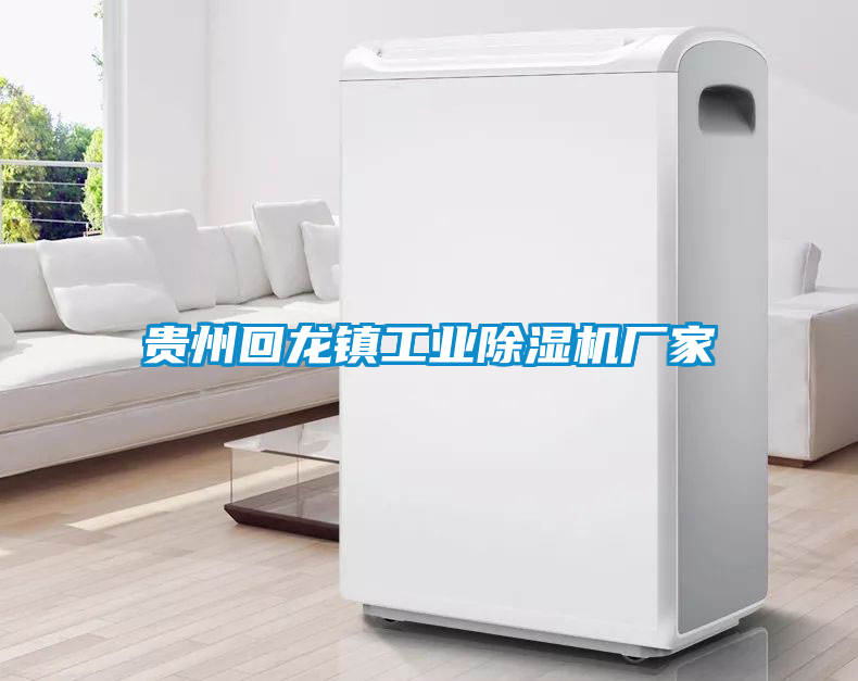 貴州回龍鎮(zhèn)工業(yè)除濕機(jī)廠家