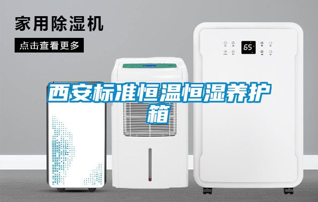 西安標準恒溫恒濕養護箱