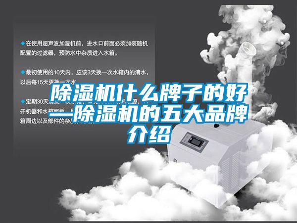 除濕機(jī)什么牌子的好—除濕機(jī)的五大品牌介紹