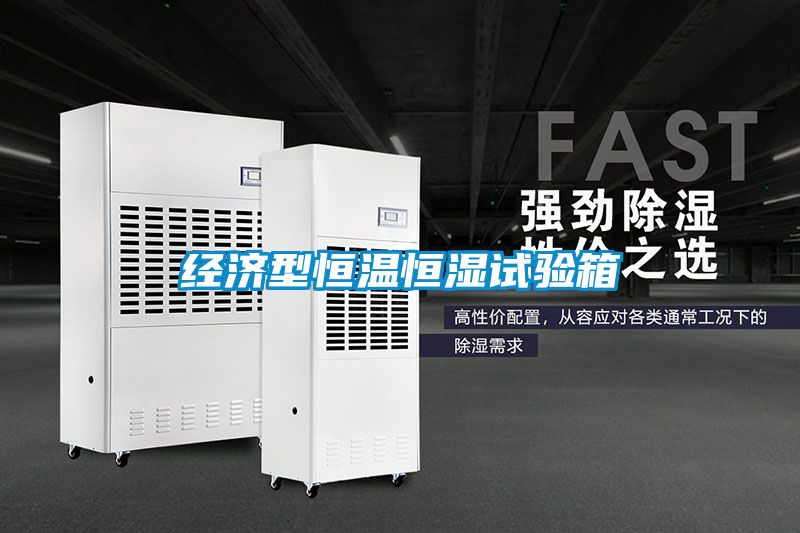 經濟型恒溫恒濕試驗箱