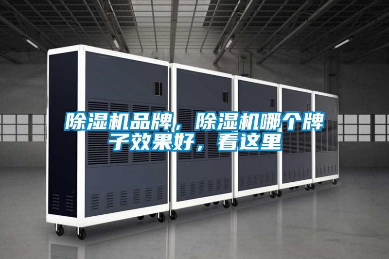 除濕機品牌，除濕機哪個牌子效果好，看這里