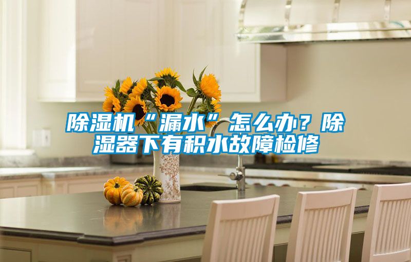 除濕機“漏水”怎么辦？除濕器下有積水故障檢修