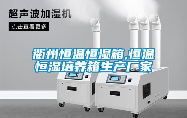 衢州恒溫恒濕箱,恒溫恒濕培養箱生產廠家