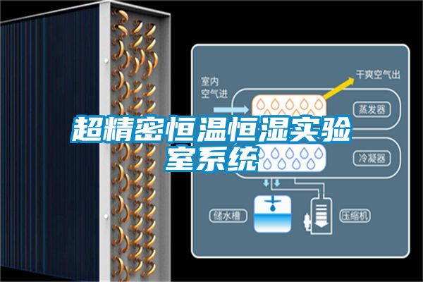 超精密恒溫恒濕實驗室系統