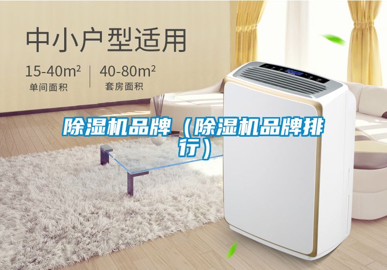 除濕機品牌（除濕機品牌排行）