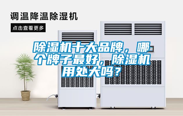 除濕機十大品牌，哪個牌子最好，除濕機用處大嗎？