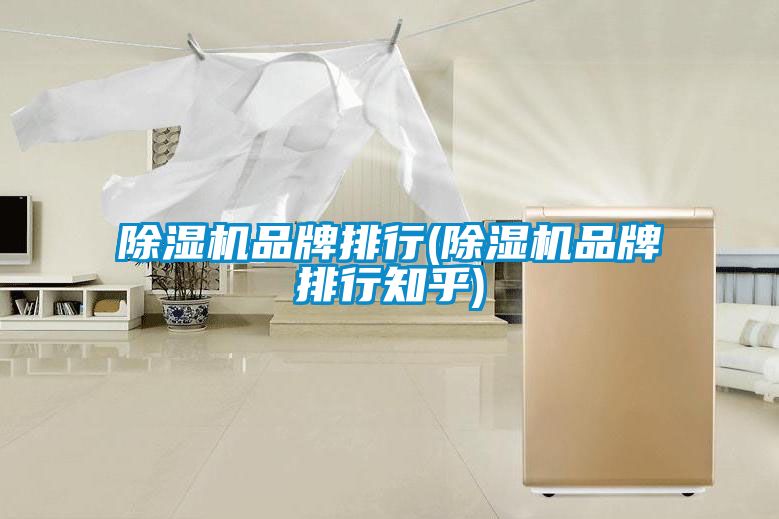 除濕機品牌排行(除濕機品牌排行知乎)