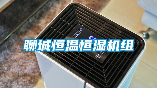 聊城恒溫恒濕機組