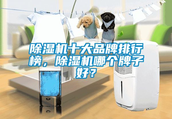 除濕機十大品牌排行榜，除濕機哪個牌子好？