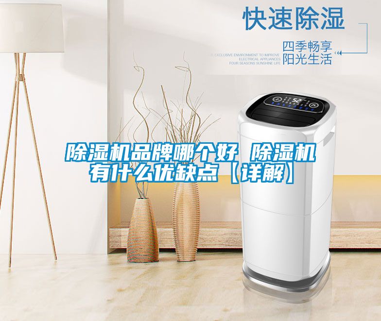 除濕機品牌哪個好 除濕機有什么優缺點【詳解】