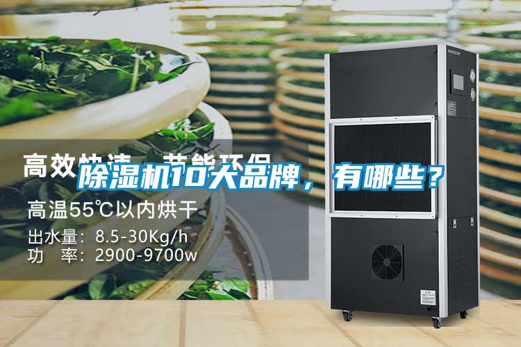 除濕機10大品牌，有哪些？