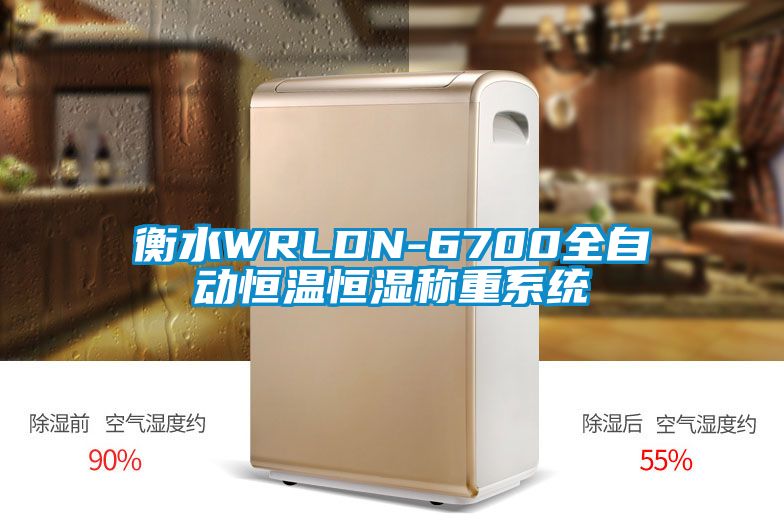 衡水WRLDN-6700全自動恒溫恒濕稱重系統