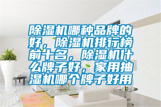 除濕機(jī)哪種品牌的好，除濕機(jī)排行榜前十名，除濕機(jī)什么牌子好，家用抽濕機(jī)哪個(gè)牌子好用