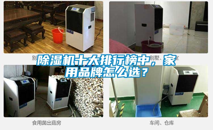 除濕機十大排行榜中，家用品牌怎么選？