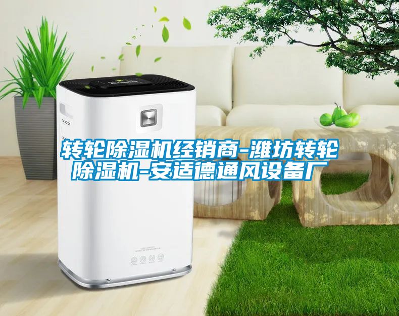 轉輪除濕機經銷商-濰坊轉輪除濕機-安適德通風設備廠