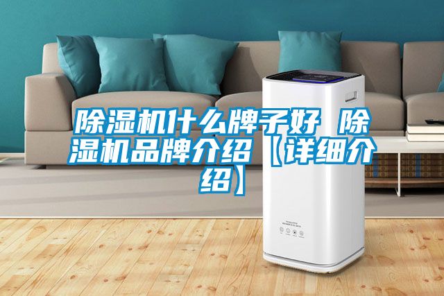 除濕機什么牌子好 除濕機品牌介紹【詳細介紹】