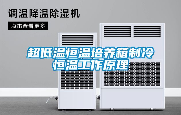 超低溫恒溫培養箱制冷恒溫工作原理