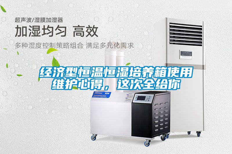 經濟型恒溫恒濕培養箱使用維護心得，這次全給你