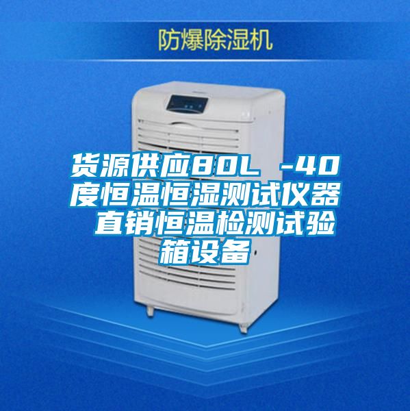 貨源供應(yīng)80L -40度恒溫恒濕測試儀器 直銷恒溫檢測試驗(yàn)箱設(shè)備