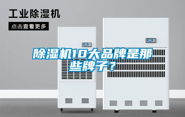 除濕機10大品牌是那些牌子？