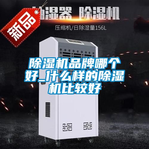 除濕機品牌哪個好_什么樣的除濕機比較好