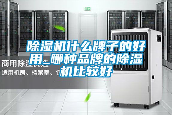 除濕機(jī)什么牌子的好用_哪種品牌的除濕機(jī)比較好