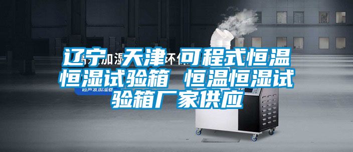 遼寧 天津 可程式恒溫恒濕試驗箱 恒溫恒濕試驗箱廠家供應