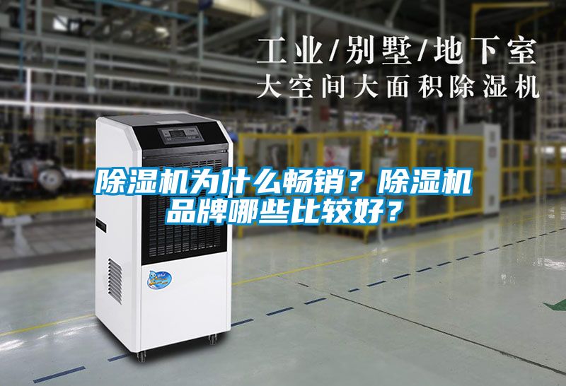 除濕機為什么暢銷？除濕機品牌哪些比較好？
