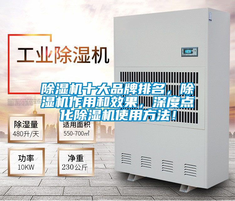 除濕機十大品牌排名，除濕機作用和效果，深度點化除濕機使用方法！