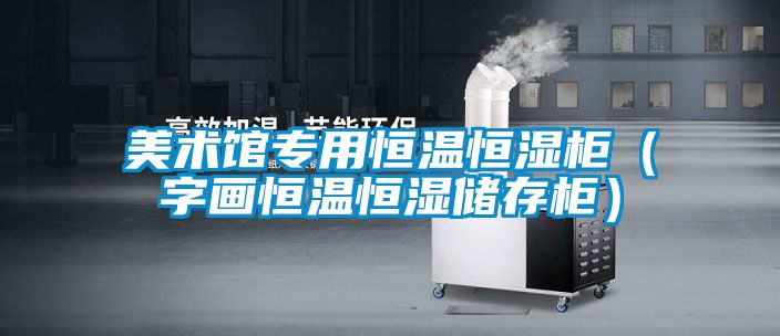 美術館專用恒溫恒濕柜（字畫恒溫恒濕儲存柜）