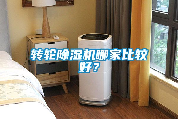 轉輪除濕機哪家比較好？