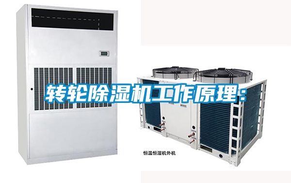 轉輪除濕機工作原理：