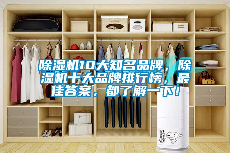 除濕機10大知名品牌，除濕機十大品牌排行榜，最佳答案，都了解一下！