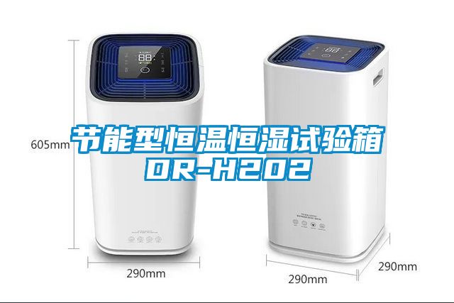 節能型恒溫恒濕試驗箱DR-H202