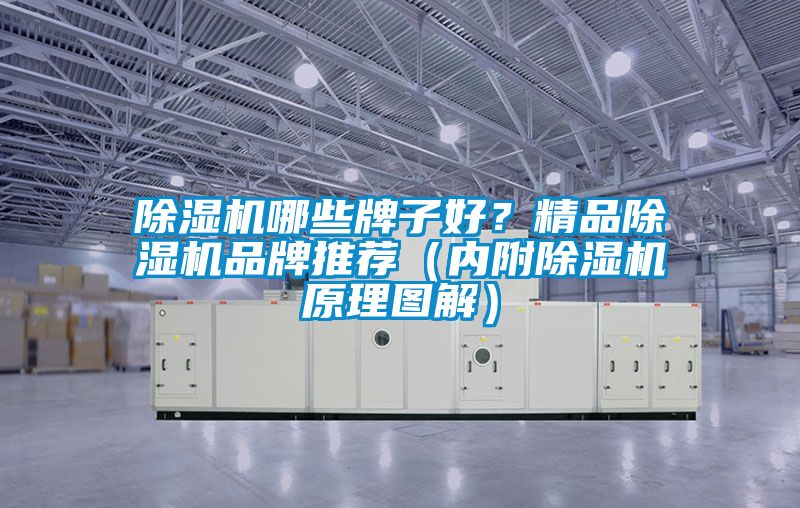 除濕機哪些牌子好？精品除濕機品牌推薦（內附除濕機原理圖解）