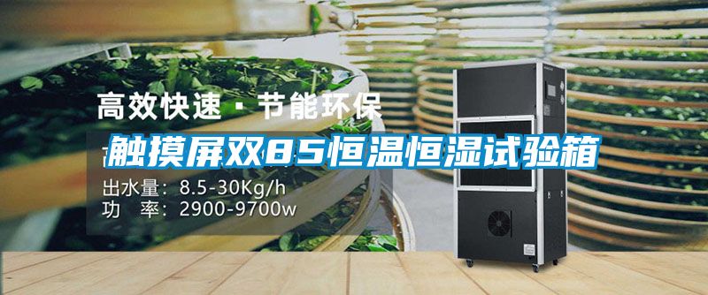 觸摸屏雙85恒溫恒濕試驗箱