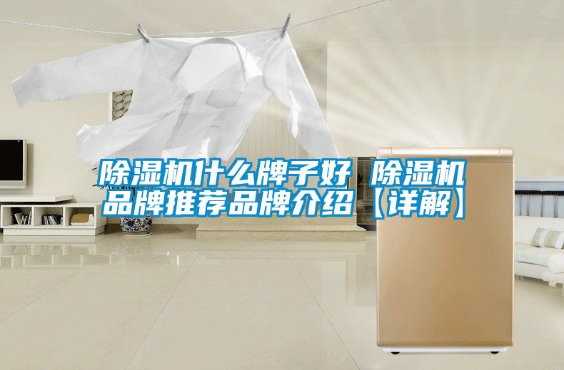 除濕機什么牌子好 除濕機品牌推薦品牌介紹【詳解】