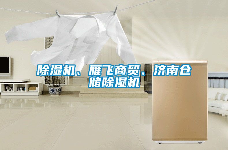 除濕機、雁飛商貿、濟南倉儲除濕機