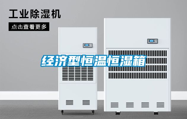 經濟型恒溫恒濕箱