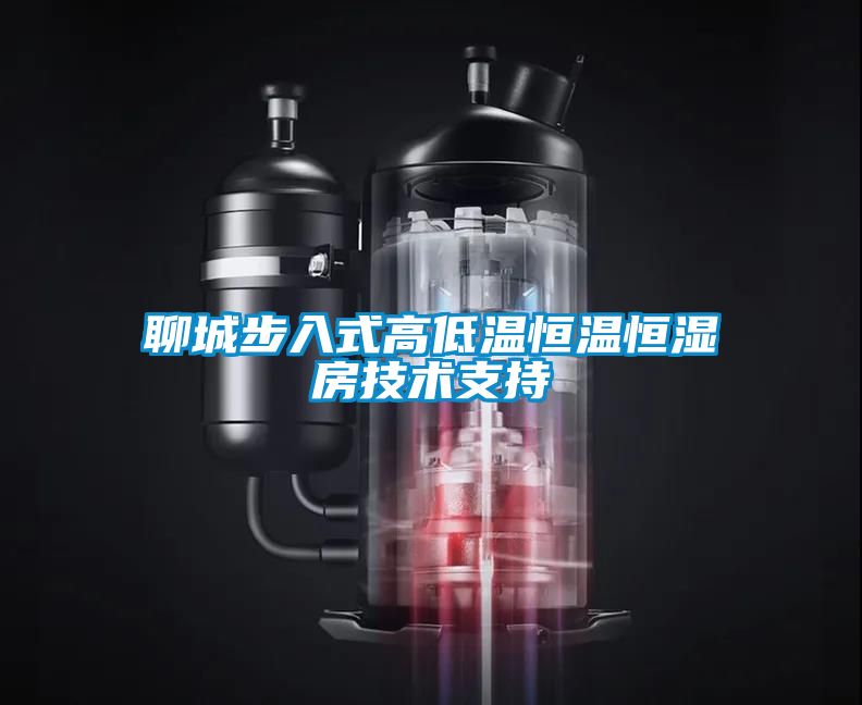 聊城步入式高低溫恒溫恒濕房技術支持