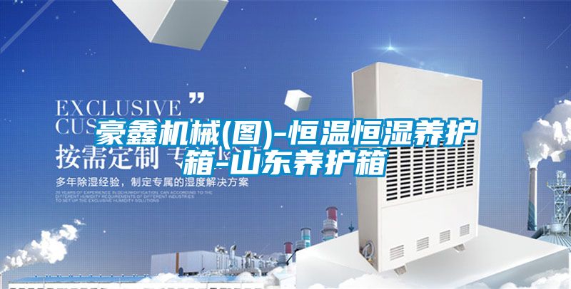 豪鑫機械(圖)-恒溫恒濕養護箱-山東養護箱