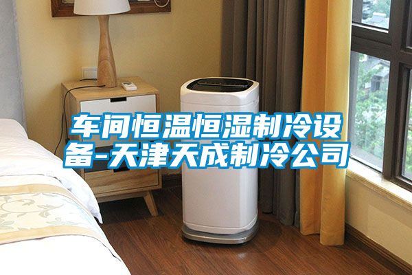 車間恒溫恒濕制冷設備-天津天成制冷公司