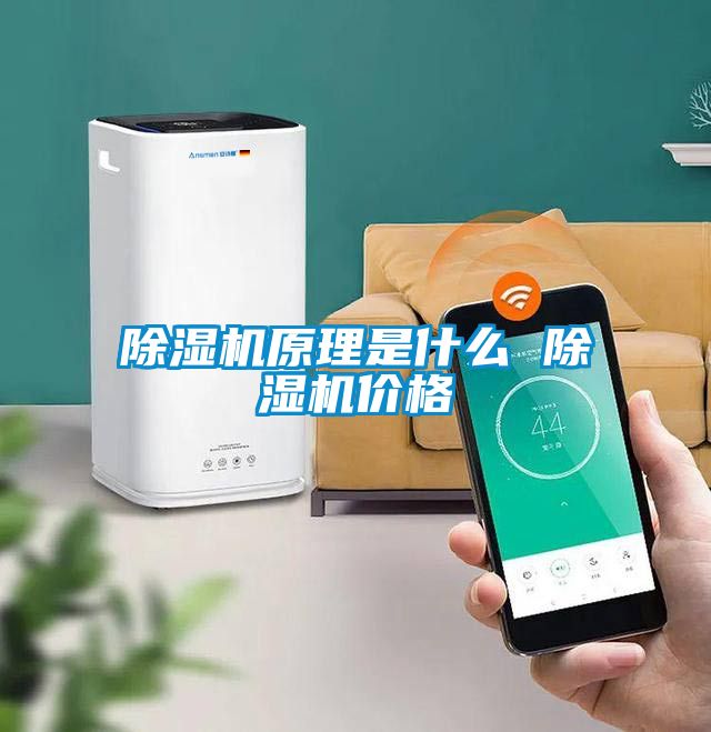 除濕機原理是什么 除濕機價格
