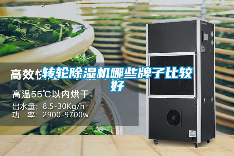 轉輪除濕機哪些牌子比較好