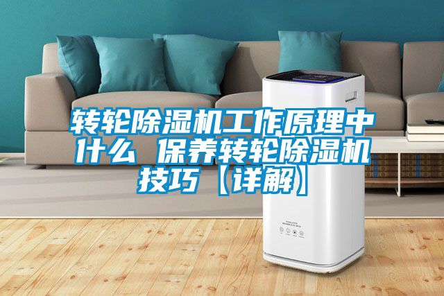 轉輪除濕機工作原理中什么 保養轉輪除濕機技巧【詳解】