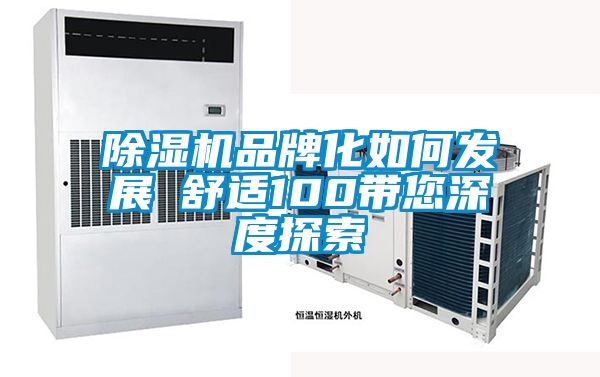 除濕機品牌化如何發(fā)展　　舒適100帶您深度探索