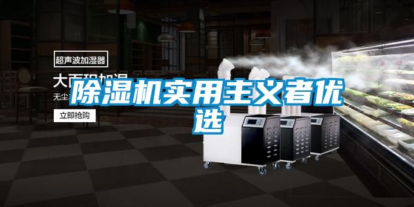 除濕機(jī)實(shí)用主義者優(yōu)選